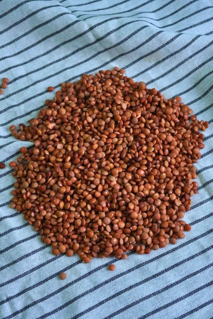 crispy lentils air fryer dry in kitchen towel