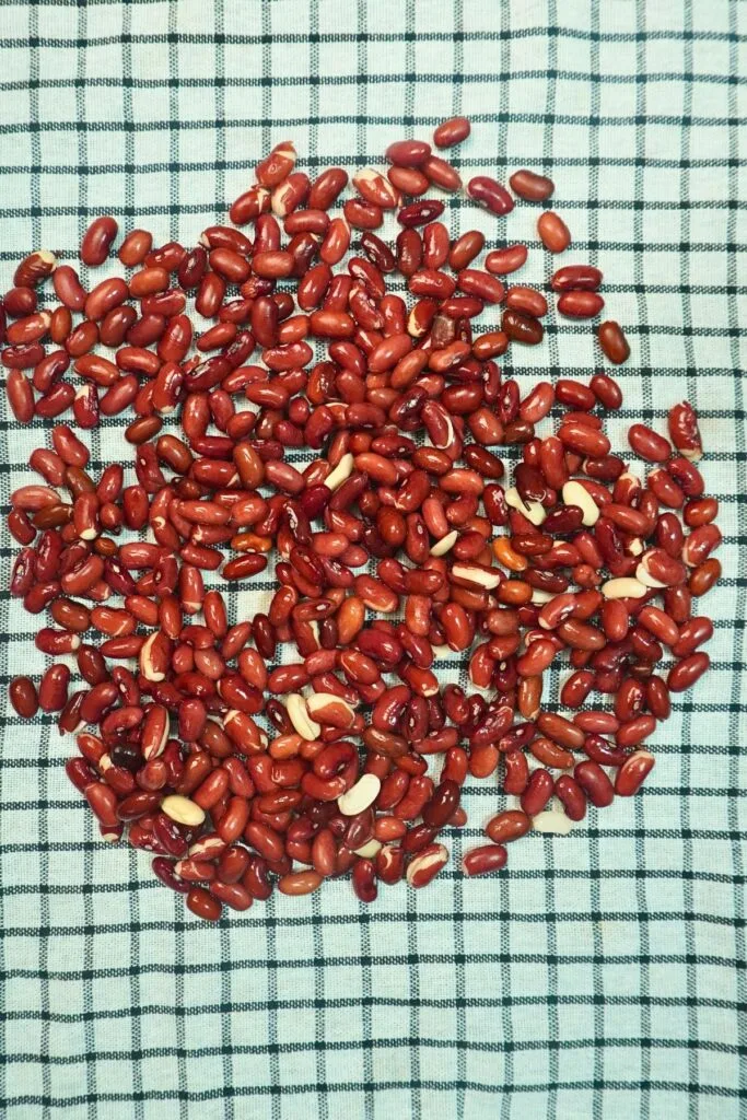 rajma in air fryer dry in towel
